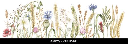 Aquarell Wildblumen Rand Rahmen Illustration, Weizen und Wiese Blumen Clipart Stockfoto