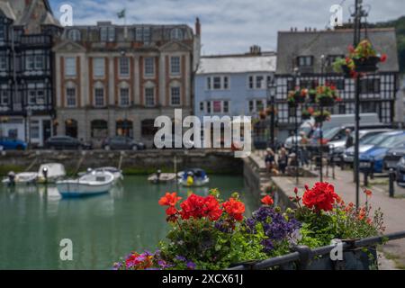 Geranium ist in Kisten und Körben im Hafen von Dartmouth an einem Sommertag Stockfoto