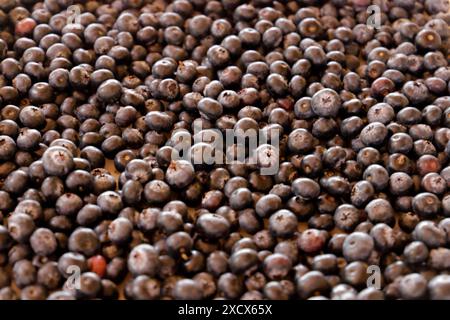 Eine Nahaufnahme eines großen Haufens frischer Heidelbeeren in Planaltina de Goias, Brasilien Stockfoto