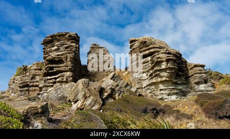 Karstkalksteinformationen in Kaihoka, Westküste der Golden Bay, Südinsel, Aotearoa / Neuseeland Stockfoto