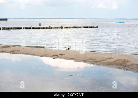 Blick auf den Badestrand am Stettiner Haff in Vorpommern nahe der polnischen Grenze. Die Region gehört noch zu den ruhigen Urlauberregionen in Mecklenburg-Vorpommern. Uckermeunde *** Blick auf den Strand am Stettiner Haff in Vorpommern nahe der polnischen Grenze die Region ist noch immer eine der ruhigen Urlaubsregionen in Mecklenburg-Vorpommern Uckermeunde Copyright: FrankxHormannx/xnordlicht Stockfoto