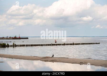 Blick auf den Badestrand am Stettiner Haff in Vorpommern nahe der polnischen Grenze. Die Region gehört noch zu den ruhigen Urlauberregionen in Mecklenburg-Vorpommern. Uckermeunde *** Blick auf den Strand am Stettiner Haff in Vorpommern nahe der polnischen Grenze die Region ist noch immer eine der ruhigen Urlaubsregionen in Mecklenburg-Vorpommern Uckermeunde Copyright: FrankxHormannx/xnordlicht Stockfoto