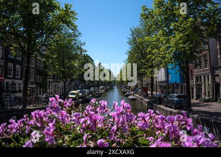 Charmanter Kanal in Amsterdam mit blühenden Blumen - Niederlande Stockfoto