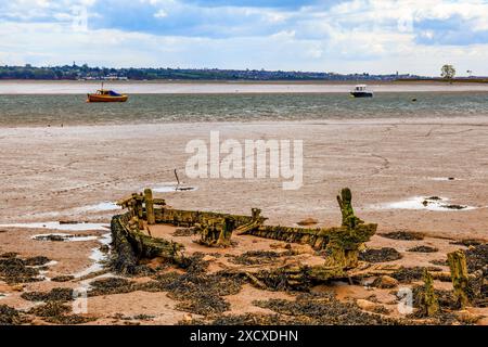Die Rippen ehemaliger Holzschiffe ragen von den Schlammbänken des Flusses exe bei Turf Lock hervor, wo der Exeter Canal in den Fluss mündet, Devon, England, Großbritannien Stockfoto