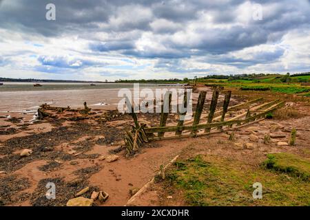 Die Rippen ehemaliger Holzschiffe ragen von den Schlammbänken des Flusses exe bei Turf Lock hervor, wo der Exeter Canal in den Fluss mündet, Devon, England, Großbritannien Stockfoto