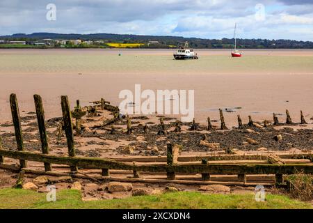 Die Rippen ehemaliger Holzschiffe ragen von den Schlammbänken des Flusses exe bei Turf Lock hervor, wo der Exeter Canal in den Fluss mündet, Devon, England, Großbritannien Stockfoto