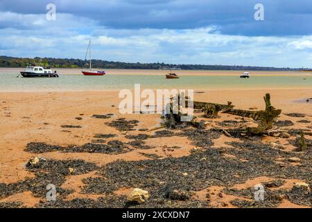 Die Rippen ehemaliger Holzschiffe ragen von den Schlammbänken des Flusses exe bei Turf Lock hervor, wo der Exeter Canal in den Fluss mündet, Devon, England, Großbritannien Stockfoto