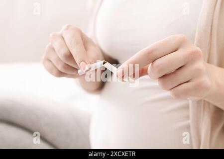 Schwangere Frau bricht Zigarette, um mit dem Rauchen aufzuhören Stockfoto