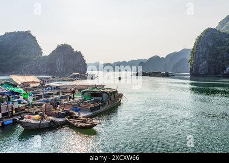 Wunderschöner Blick auf das schwimmende Fischerdorf in der Halong-Bucht am Golf von Tonkin im Südchinesischen Meer, Vietnam. Stockfoto