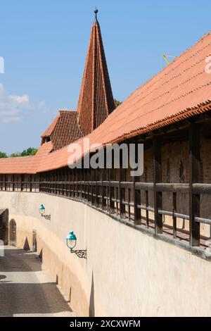 Geographie / Reisen, Deutschland, Bayern, Schwaben, Noerdlingen, historische Stadtmauer, ZUSÄTZLICHE RECHTE-CLEARANCE-INFO-NOT-AVAILABLE Stockfoto