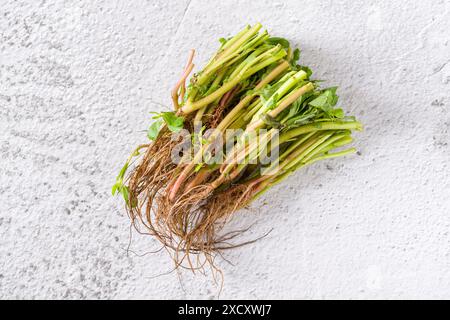 Natürliche Pleuelstiele und geerdete Wurzeln auf weißem Steintisch Stockfoto