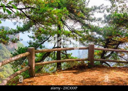 Malerische Terrasse zwischen immergrünen Bäumen in den Tianzi Mountains (Avatar Mountains), dem Zhangjiajie National Forest Park, Provinz Hunan, China. Stockfoto