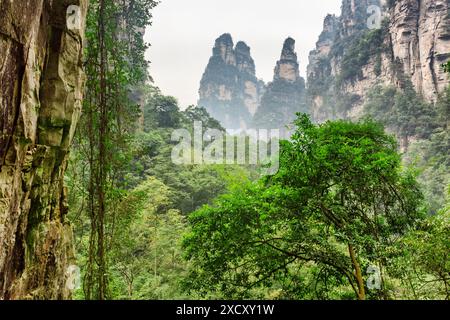 Fabelhafter Blick auf natürliche Quarzsandsteinsäulen der Tianzi Berge (Avatar Mountains) im Zhangjiajie National Forest Park, Provinz Hunan. Stockfoto