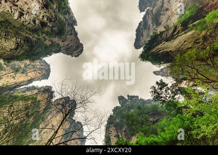 Fantastischer Blick von unten auf natürliche Quarzsandsteinsäulen der Tianzi Mountains (Avatar Mountains) im Zhangjiajie National Forest Park. Stockfoto