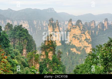 Fantastischer Blick auf natürliche Quarzsandsteinsäulen der Tianzi-Berge (Avatar-Berge) im Zhangjiajie National Forest Park, Provinz Hunan, Stockfoto