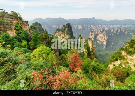 Fantastischer Blick auf natürliche Quarzsandsteinsäulen der Tianzi-Berge (Avatar-Berge) im Zhangjiajie National Forest Park, Provinz Hunan, Stockfoto