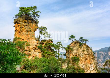 Fantastischer Blick auf natürliche Quarzsandsteinsäulen der Tianzi-Berge (Avatar-Berge) im Zhangjiajie National Forest Park, Provinz Hunan, Stockfoto