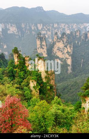 Fantastischer Blick auf natürliche Quarzsandsteinsäulen der Tianzi-Berge (Avatar-Berge) im Zhangjiajie National Forest Park, Provinz Hunan, Stockfoto