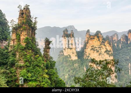 Fabelhafter Blick auf natürliche Quarzsandsteinsäulen der Tianzi Berge (Avatar Mountains) im Zhangjiajie National Forest Park, Provinz Hunan. Stockfoto