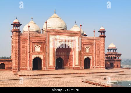 Die Kau Ban Moschee des Taj Mahal Komplexes auf blauem Himmel Hintergrund in Agra, Indien. Fantastisches Gebäude aus rotem Sandstein, das sich im Wasser des Pools spiegelt. Stockfoto