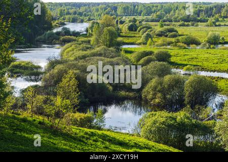 Ländliche russische Landschaft Foto mit dem Fluss Sorot an einem sonnigen Sommertag Stockfoto