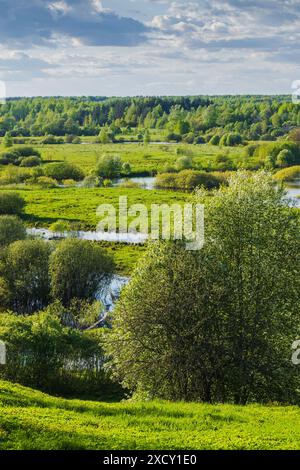 Ländliche russische Landschaft, vertikales Foto mit den Küsten des Flusses Sorot an einem sonnigen Sommertag Stockfoto