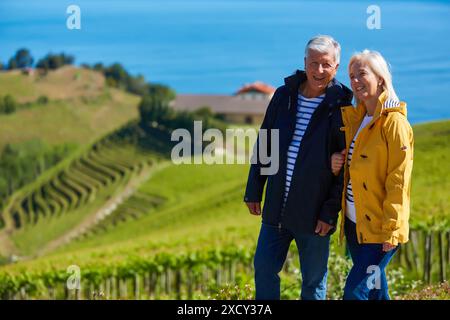 Älteres Paar, 60-70, Wandern zwischen Weinbergen Txakoli, Getaria, Gipuzkoa, Baskisches Land, Spanien, Europa Stockfoto