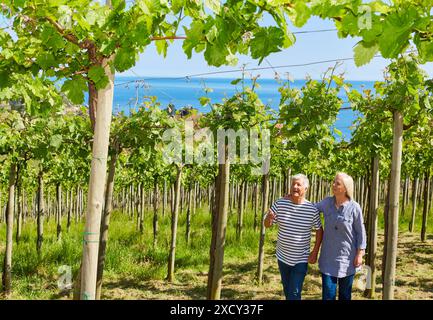 Älteres Paar, 60-70, Wandern zwischen Weinbergen Txakoli, Getaria, Gipuzkoa, Baskisches Land, Spanien, Europa Stockfoto