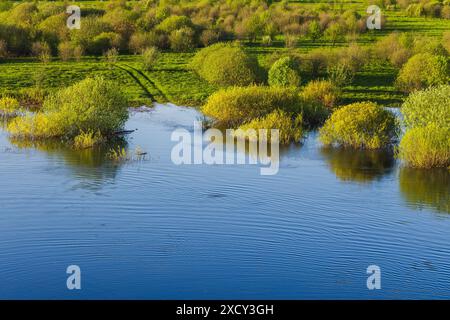 Flussküste von Sorot, Foto der ländlichen russischen Landschaft an einem sonnigen Sommertag Stockfoto