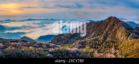 (240619) -- ZHENGZHOU, 19. Juni 2024 (Xinhua) -- ein Luftdrohnenfoto vom 8. April 2023 zeigt einen Blick auf den Berg Huangmaojian im Xinxian County, Zentralchinas Provinz Henan. In den letzten Jahren wurde beharrlich versucht, die Umwelt in der Zentralregion des Landes zu schützen und damit eine grüne Grundlage für eine qualitativ hochwertige Entwicklung zu schaffen. (Foto: Han Jiadong/Xinhua) Stockfoto