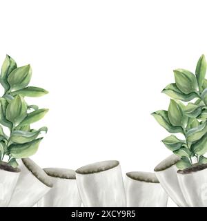Grünpflanzen in weißem Keramiktopf mit Aquarellrand. Handgezeichneter Innenraum, Poster-Dekorvorlage. Banner für urbanen Dschungel-Stil, Blumengeschäft Stockfoto