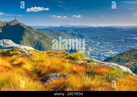 Herbstfarben auf den Bergen rund um Bergen, Norwegen Stockfoto