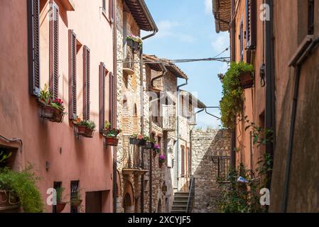 Blick auf eine traditionell aussehende Wohnstraße in Todi, Perugia, Italien Stockfoto