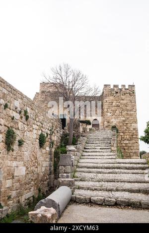 Libanon, Jebeil, Byblos, Eingang zum alten Kreuzfahrerschloss Byblos aus Kalkstein im Antiquitätenkomplex von Byblos Stockfoto