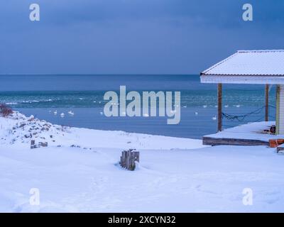 Schneebedeckte Küste des Finnischen Golfs, Estland Stockfoto