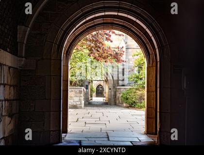 New Haven, Connecticut - Juni 8,2024: Blick auf den Campus der Ivy League Yale University mit historischer Architektur aus der Innenstadt von New Haven CT. Stockfoto