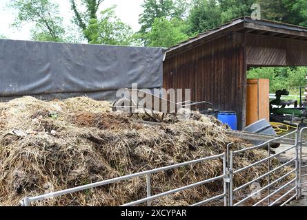 Wie in alten Zeiten: ein Misthaufen vor einem landwirtschaftlichen Anwesen in Küssnacht, Schweiz. Im Stall stehen die Rinder auf eingestreutem Stroh, auf dem Misthaufen wird die Einstreu mit dem Viehdung aus dem Stall gelagert, später wird das Ganze als Dünger auf den Feldern ausgebracht. Foto:Winfried Rothermel *** wie früher, ein Dunghaufen vor einem Bauernhof in Küssnacht, Schweiz, das Vieh steht in der Scheune auf Streustroh, die Einstreu wird auf dem Dunghaufen mit dem Viehmist aus der Scheune gelagert, später wird das ganze als Dünger auf den Feldern verteilt Foto Winfried Rother Stockfoto