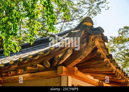 Detail des traditionellen koreanischen Dachs. Schwarzes Ziegeldach. Stockfoto