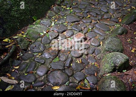 Steinweg auf dem Boden in einem öffentlichen Park, Teresopolis, Rio de Janeiro, Brasilien Stockfoto