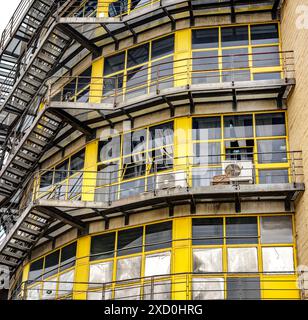 Ein antikes Industriegebäude mit markanten Nottreppen und großen gelben Fenstern, das sein historisches architektonisches Design zeigt. Stockfoto