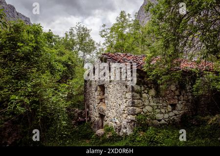 Altes Steinhaus mit einem rot gekachelten Dach, eingebettet in einen dichten, grünen Wald mit Bergen im Hintergrund. Ein abgeschiedener und friedlicher, rustikaler Rückzugsort. Stockfoto