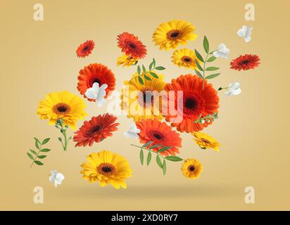 Helle Gerberas und andere schöne Blumen in der Luft auf dunklem beigem Hintergrund Stockfoto