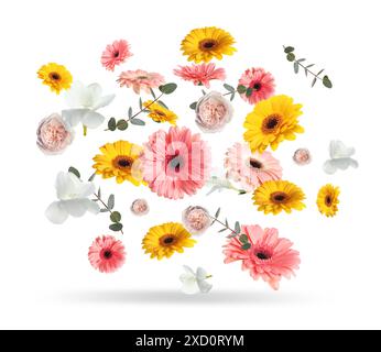 Helle Gerberas und andere schöne Blumen in der Luft auf weißem Hintergrund Stockfoto