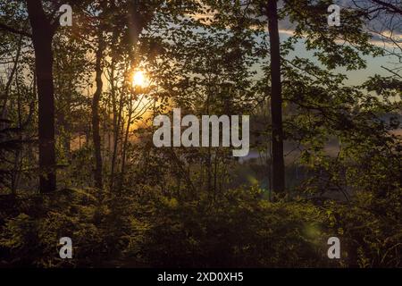 Ein schöner Sonnenaufgang an einem Junitag im Norden von Wisconsin. Stockfoto