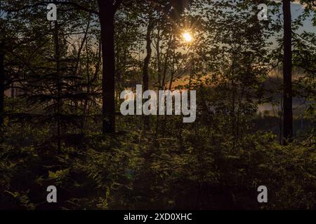 Ein schöner Sonnenaufgang an einem Junitag im Norden von Wisconsin. Stockfoto
