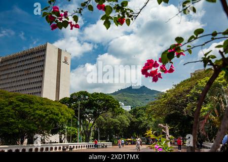 Cali, Kolumbien - 17. Juni 2024: Blick auf den Paseo Bolivar Platz und das Cali Mayors Gebäude von der historischen Ortiz Brücke an einem schönen sonnigen Tag Stockfoto