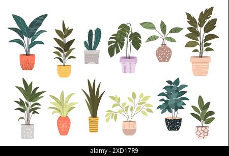 Pflanzensatz in Blumentöpfen. Wohnkultur. Stock Vektor