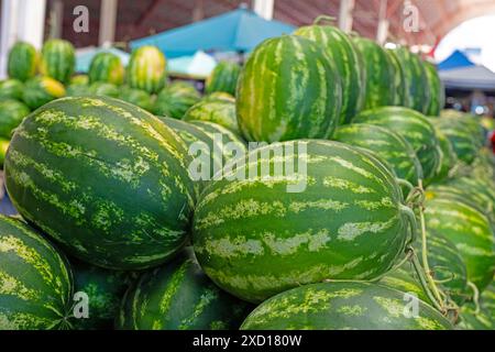 Wassermelonen auf dem Stand eines Wassermelonenverkäufers auf dem Markt. Stockfoto