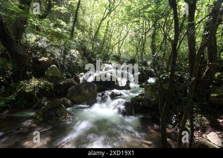 Gole del Sagittario - Anversa degli Abruzzi - Abruzzen - Italien Stockfoto