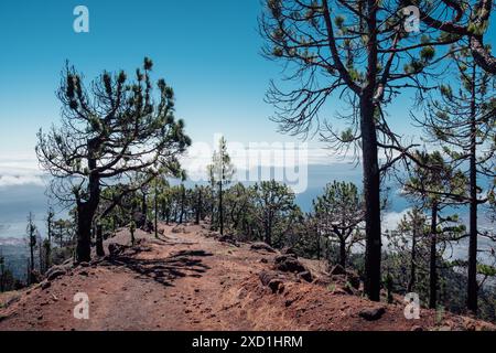 Wandern auf einem trockenen Kamm mit atemberaubendem Blick auf Teneriffa auf den Kanarischen Inseln Stockfoto